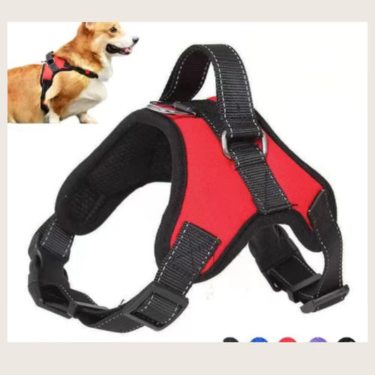 Pet Leash Medium and Large Strong Handle Harness