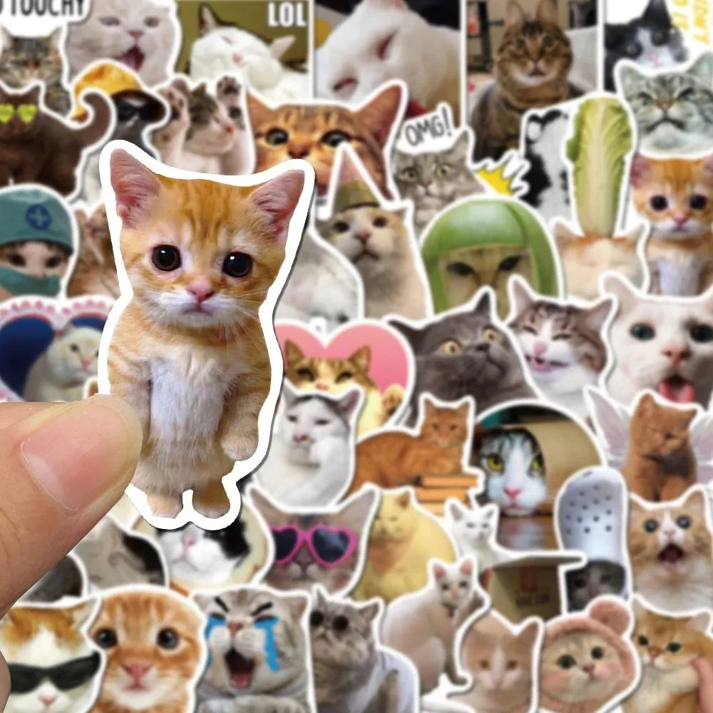 Cat PVC Stickers