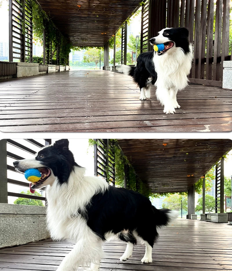 Pelota interactiva con sonido para perros