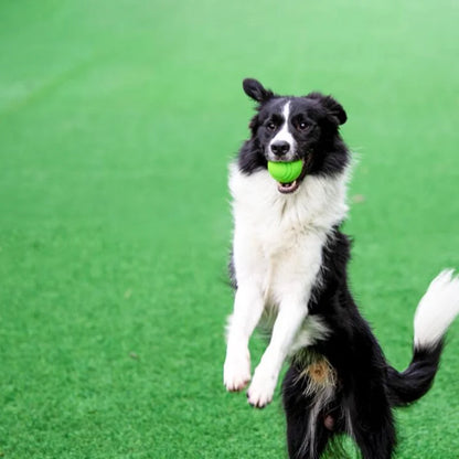 Solid Bite-Resistant Chewing Toy Ball for Pet Dog