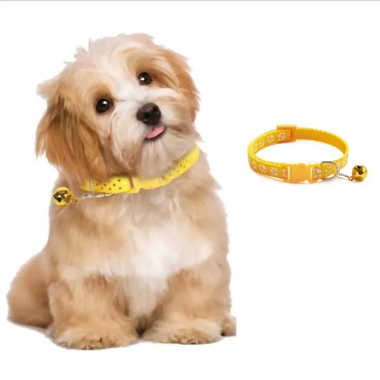 Casual Nylon Dog Collar