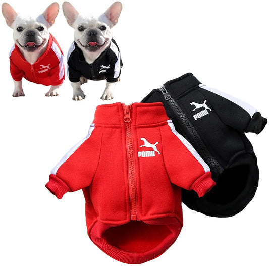 Baseball Dog Jacket Winter Dog Clothes