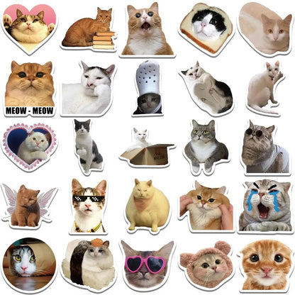 Cat PVC Stickers