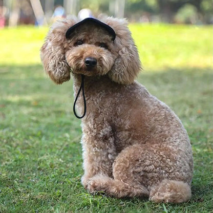 Gorra de béisbol para mascotas ajustable para exteriores para gatos y perros