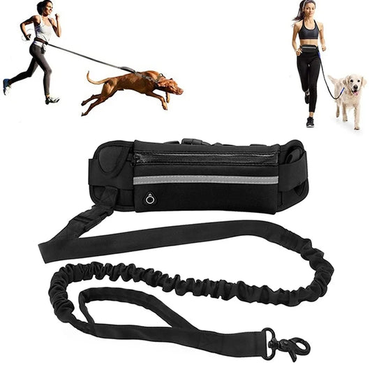 Hands Free Dog Leash for Running Walking Reflective Leash