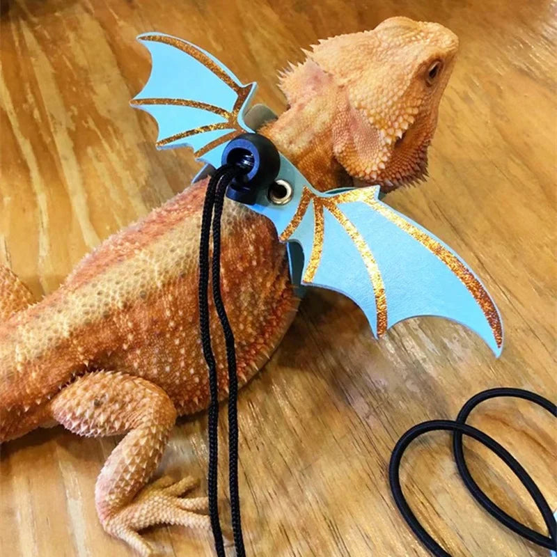 3 Pcs Adjustable Bearded Dragon Leash