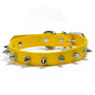 Harp Spiked Studded Leather Dog Collars