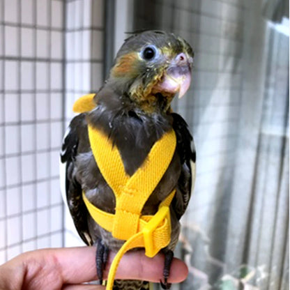 Parrot Flying Harness Leash Flight Training