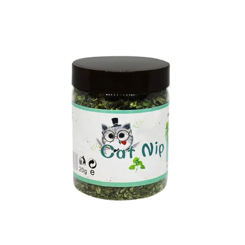 Premium Natural Catnip Selected Fresh Catnip