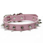 Harp Spiked Studded Leather Dog Collars