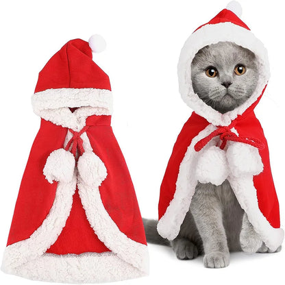 Cat Costume Santa Cosplay