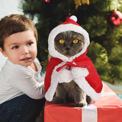 Cat Costume Santa Cosplay