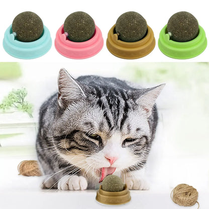 Cats Toys Natural Catnip Cat Rotatable Licking Catnip Holder