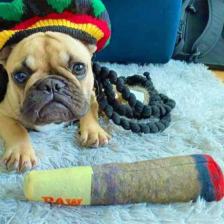 Divertidos juguetes interactivos para perros con diseño de cigarro RAW/PAW