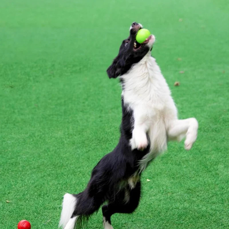 Solid Bite-Resistant Chewing Toy Ball for Pet Dog